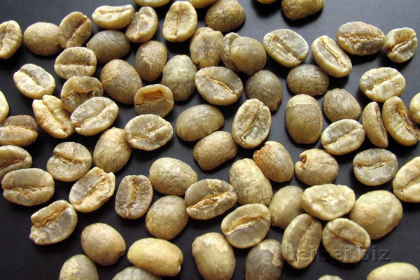 Sorting Coffee Beans