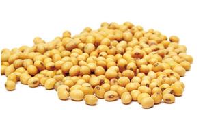 Argentine Soybean And Maize Crop Production Forecast Is Lowered Due To Drought
